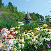 ウトウのイメージ