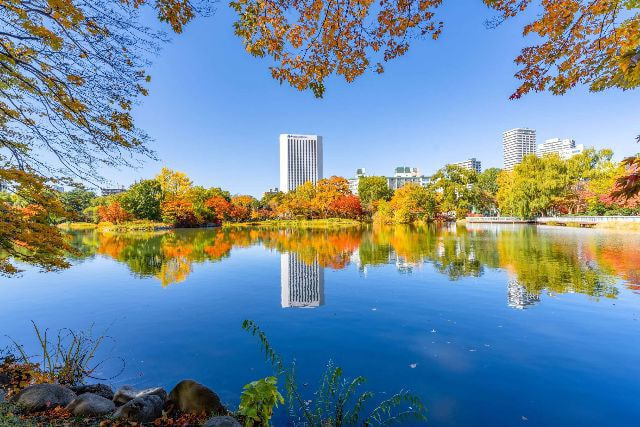 中島公園のイメージ写真