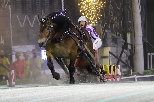 帯広競馬場ばんば競争の写真