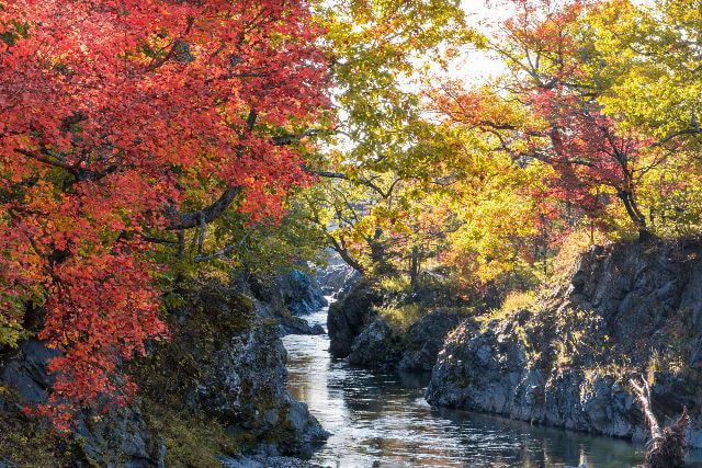 滝上渓谷　錦仙峡の写真