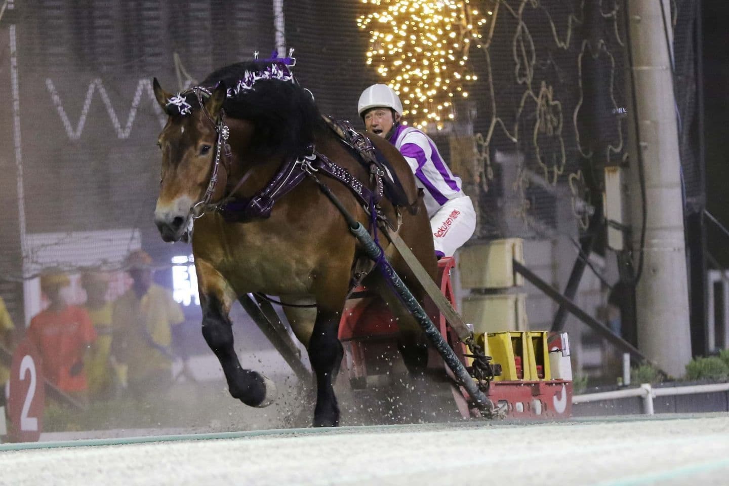 帯広競馬場（ばんえい十勝）